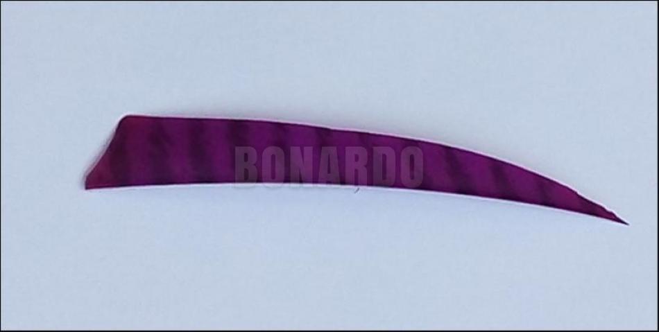 GATEWAY PENNE NATURALI 5" SCUDO BARRATA PURPLE