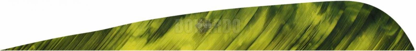 GATEWAY PENNE NATURALI 5" PARABOLA TREBARK YELLOW/BLACK