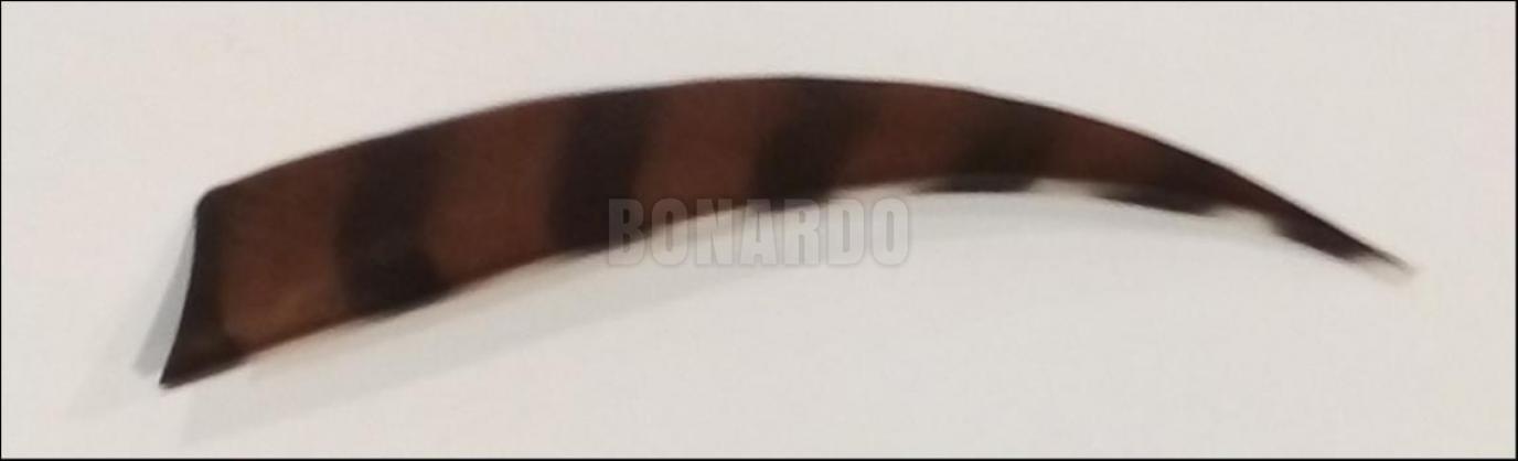 TRUEFLIGHT PENNE NATURALI 5" SCUDO BARRATE BLACK/BROWN