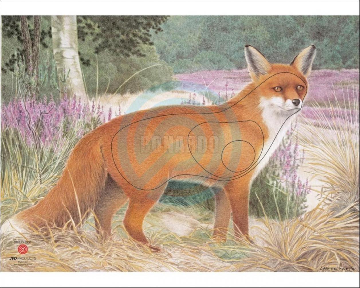 JVD BERSAGLIO ANIMALE VOLPE