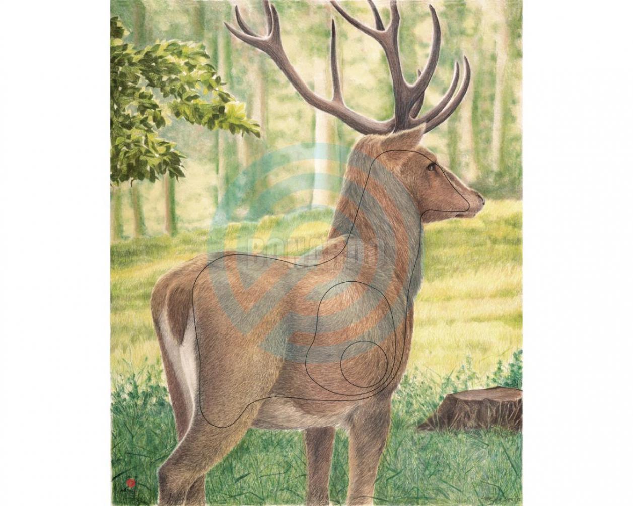 JVD BERSAGLIO ANIMALE CERVO