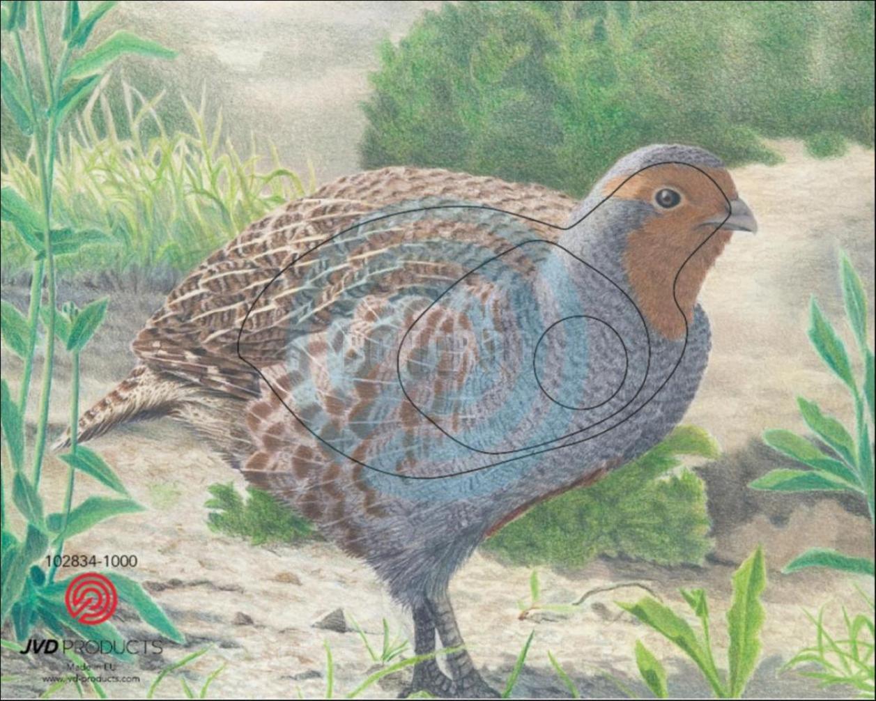 JVD BERSAGLIO ANIMALE STARNA