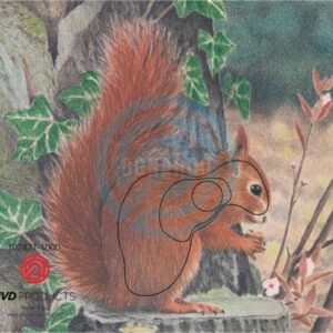 JVD BERSAGLIO ANIMALE SCOIATTOLO EUROPEO