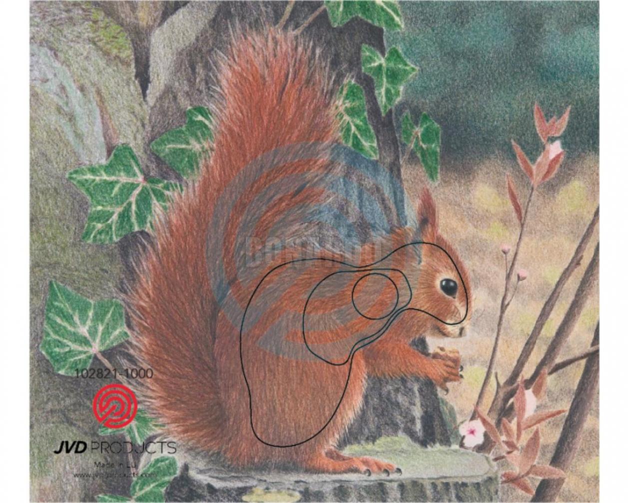 JVD BERSAGLIO ANIMALE SCOIATTOLO EUROPEO