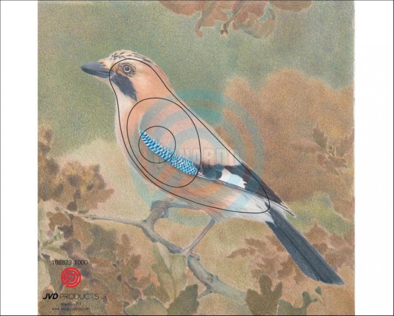 JVD BERSAGLIO ANIMALE GHIANDAIA