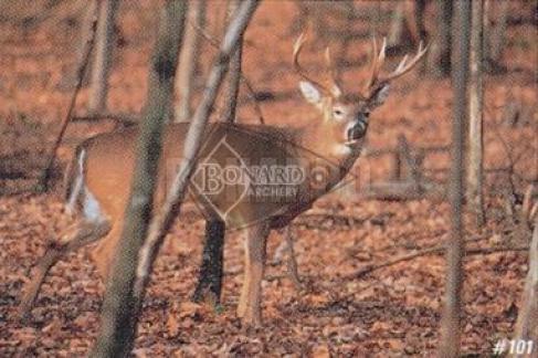 TRU LIFE #101 BERSAGLIO ANIMALE CERVO