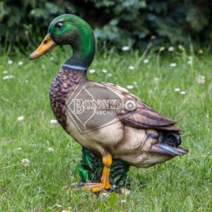 3D INFORM SAGOMA 3D ANATRA IN PIEDI