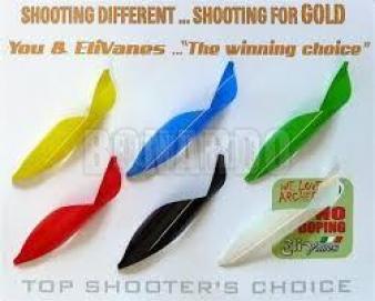 ELIVANES S2 FULL COLOR CONFEZIONE 50 PEZZI