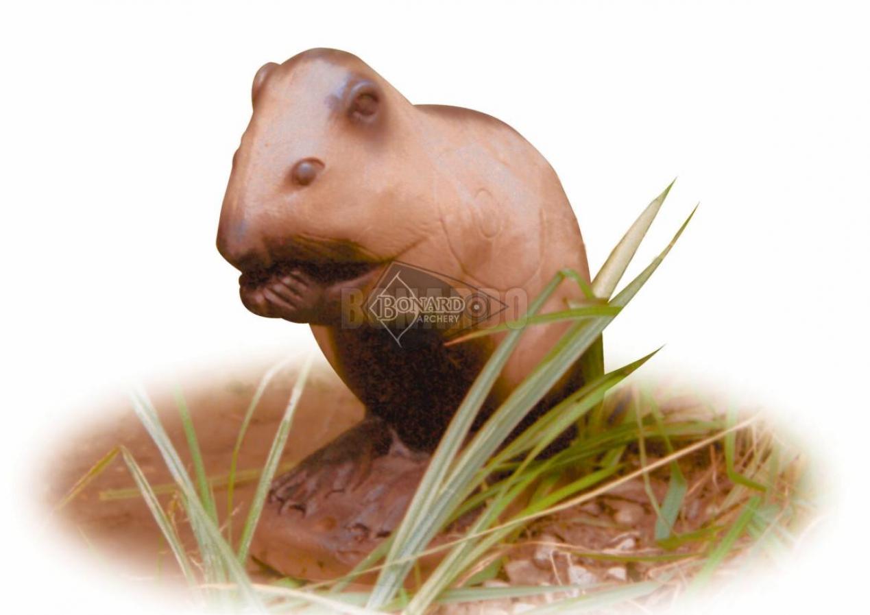 A.A.SAGOMA 3D NUTRIA