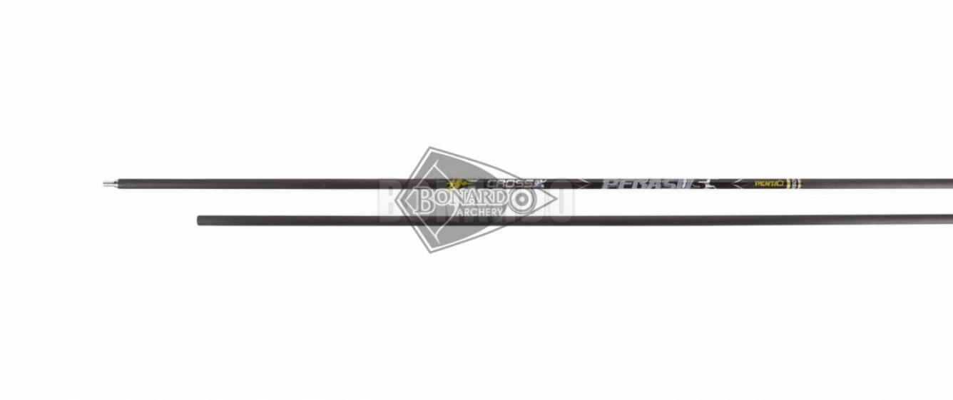 CROSS-X ASTA PEGASUS PENTA CONFEZIONE 12 PEZZI