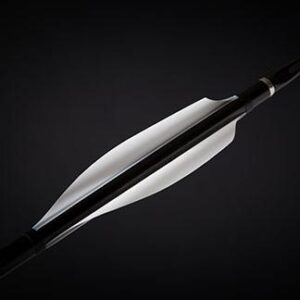 ELIVANES IS4 PURPLE RH