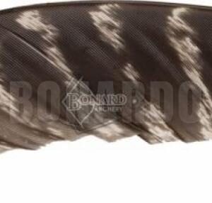 CROSS-X PENNE NATURALI FULL LENGHT BARRATE CONFEZIONE 50 PEZZI