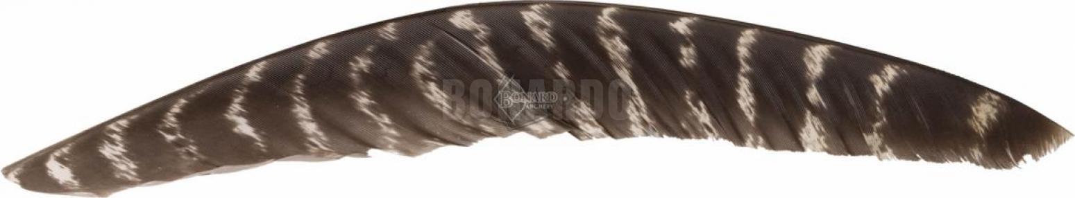 CROSS-X PENNE NATURALI FULL LENGHT BARRATE CONFEZIONE 50 PEZZI