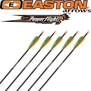 EASTON POWER FLITE ASTA IN CARBONIO