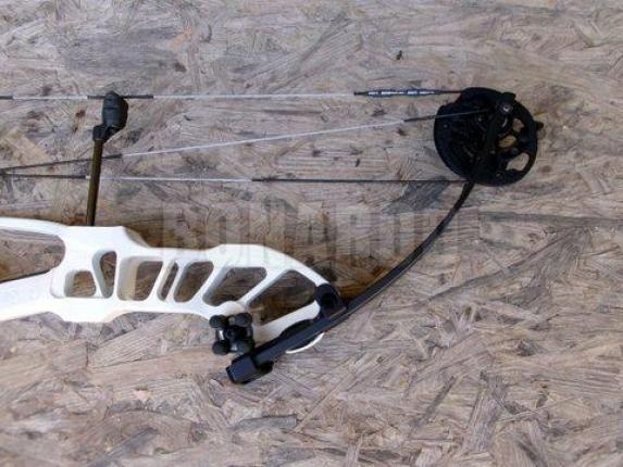 HOYT STRATOS HBT CAM #1 RH 50/60 WHITE FROST