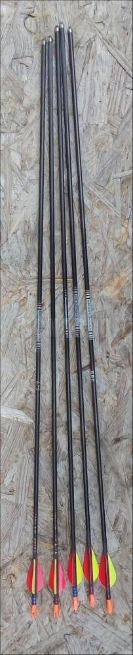 EASTON FRECCIA ACE 520